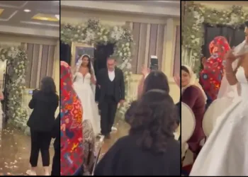 Iran Ali Shamkhani strepless wedding amid Sharia hijab row