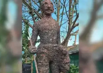 केरल के गुरुवायूर में महात्मा गांधी की विवादित प्रतिमा