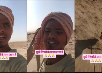 Man from Prayagraj trapped in Saudi arebia