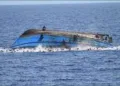 Mozambique Boat Accident