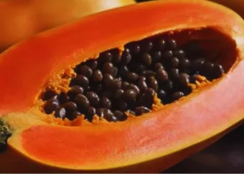 Papaya Benefits