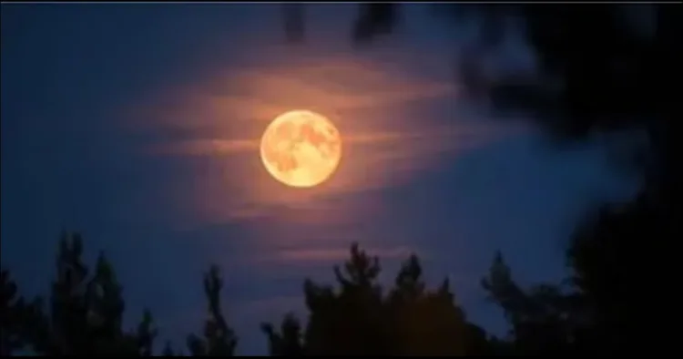 Sharad Purnima