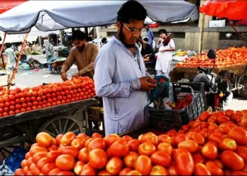 Tomato price hike in pakistan