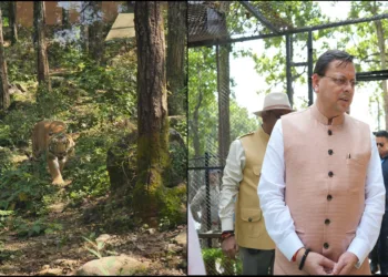 Uttarakhand Wild life weak