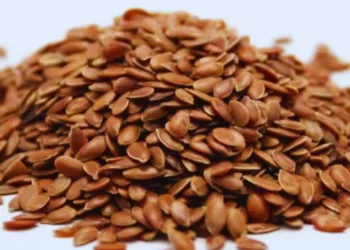 Alsi seeds benefits