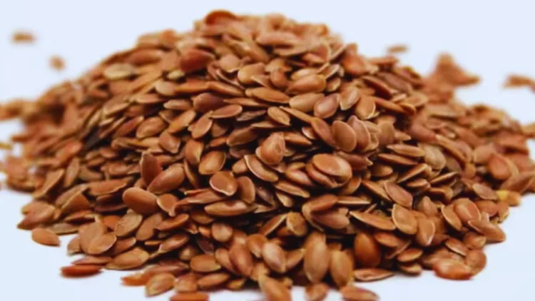 Alsi seeds benefits