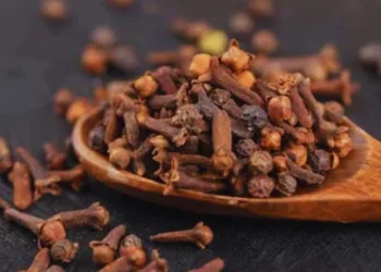 Cloves Benefits