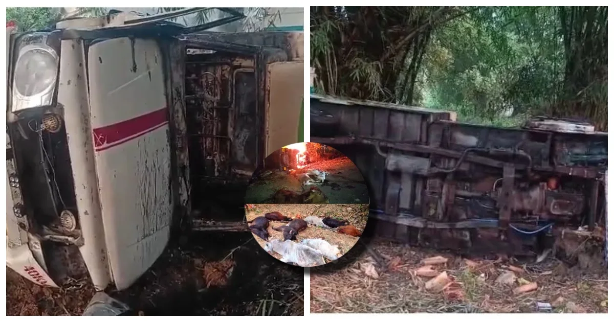 भद्रक जिले के गेलटुआ गांव के पास अवैध रूप से गौवंश ले जा रही पिकअप वैन पलटने के बाद ग्रामीणों ने वाहन में आग लगा दी।