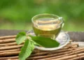 Guava Leaves Tea Benefits
