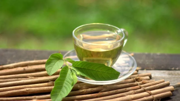Guava Leaves Tea Benefits