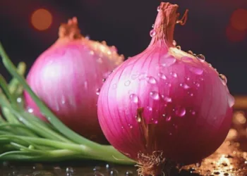 Onion Benefits