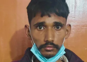 तबरेज आलम
