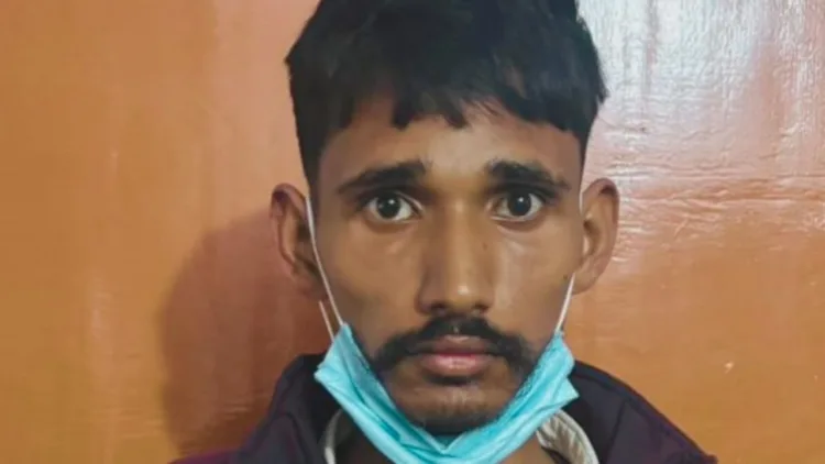 तबरेज आलम