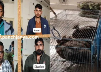 प्रयागराज में एसटीएफ द्वारा पकड़े गए अवैध पक्षी तस्करी गिरोह के गिरफ्तार सदस्य