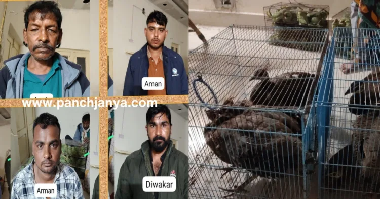 प्रयागराज में एसटीएफ द्वारा पकड़े गए अवैध पक्षी तस्करी गिरोह के गिरफ्तार सदस्य
