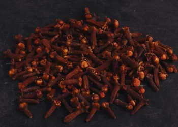 Cloves Benefits