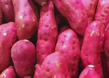 Sweet Potato Benefits