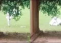 Taj Mahal Namaz Video