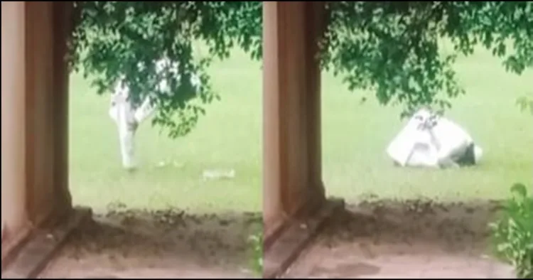 Taj Mahal Namaz Video