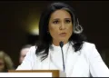 Tulsi gabbard