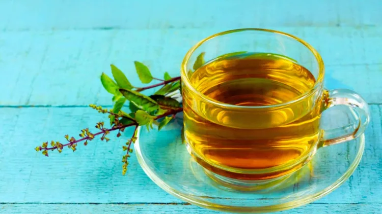 Tulsi Tea Benefits