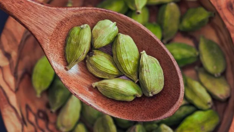 cardamom benefits