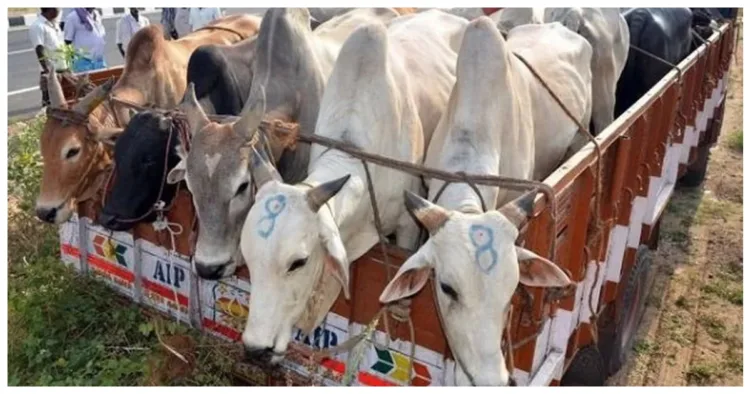 प्रतीकात्मक चित्र