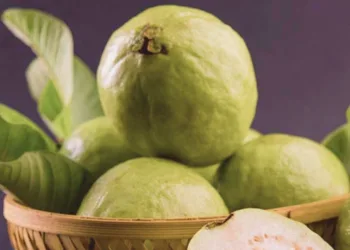 Guava Benefits