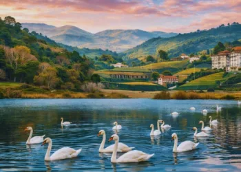 Ooty Tourist Places