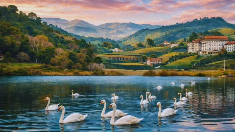 Ooty Tourist Places