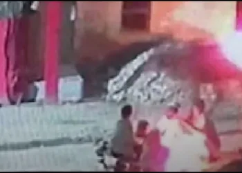 bull fire in rajasthan