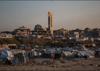 Donald trump gaza peace board