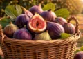 Fig Benefits