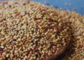 kulthi dal benefits