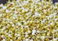 Moong Dal Benefits