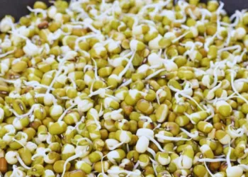 Moong Dal Benefits