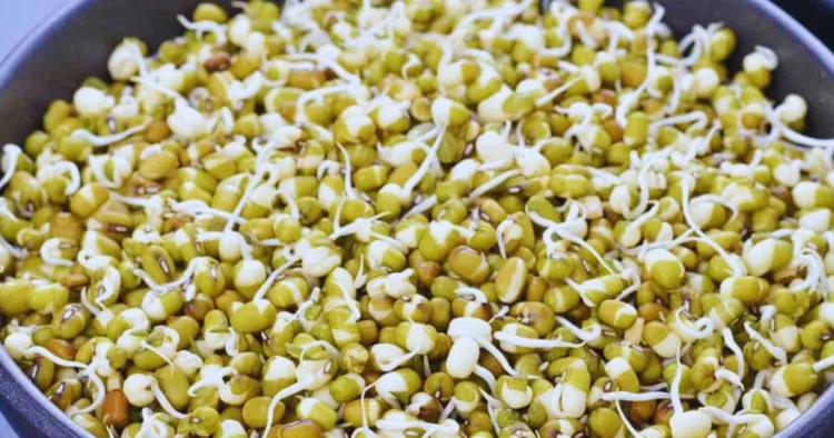 Moong Dal Benefits