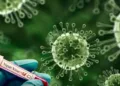 Nipah Virus