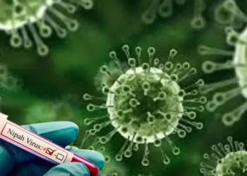 Nipah Virus
