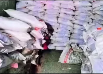 Rajasthan 10000 amonium nitrate seized