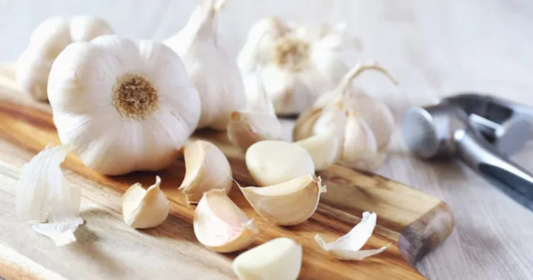 Raw Garlic Benefits