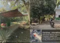 Uttarakhand Illegal majar