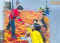समारोह में सांस्कृतिक कार्यक्रम प्रस्तुत करते छात्र