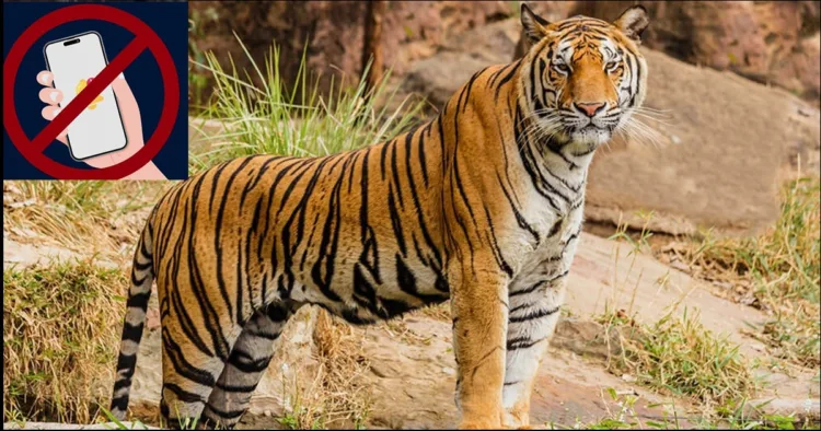 Corbett National tiger park mobile ban