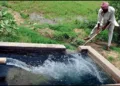 Punjab Water lavel uprises