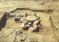 Rakhigarhi pod