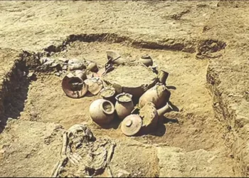 Rakhigarhi pod