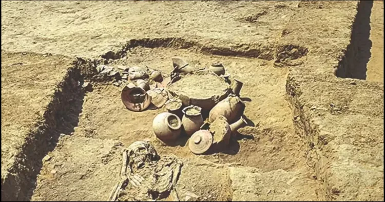 Rakhigarhi pod