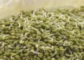 sprouted moong dal benefits