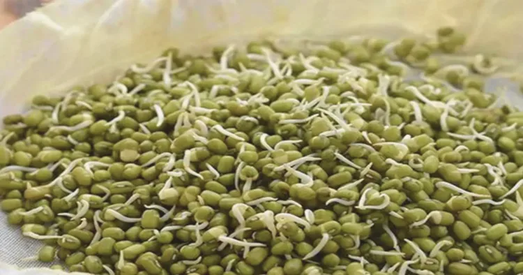 sprouted moong dal benefits